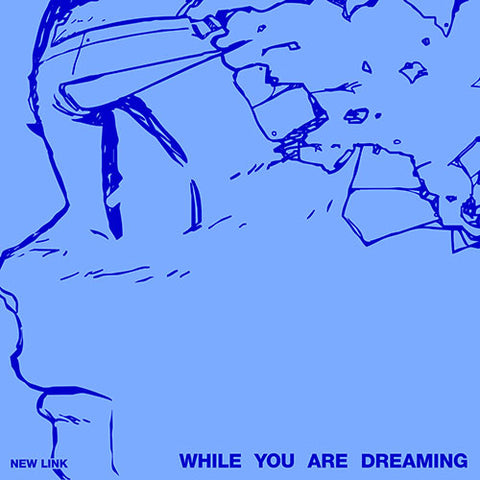 New Link - While You Are Dreaming