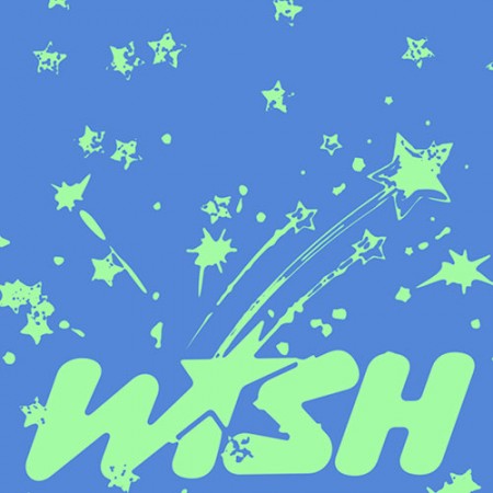NCT WISH - Debut Single [WISH] [Keyring Ver. Smart Album]
